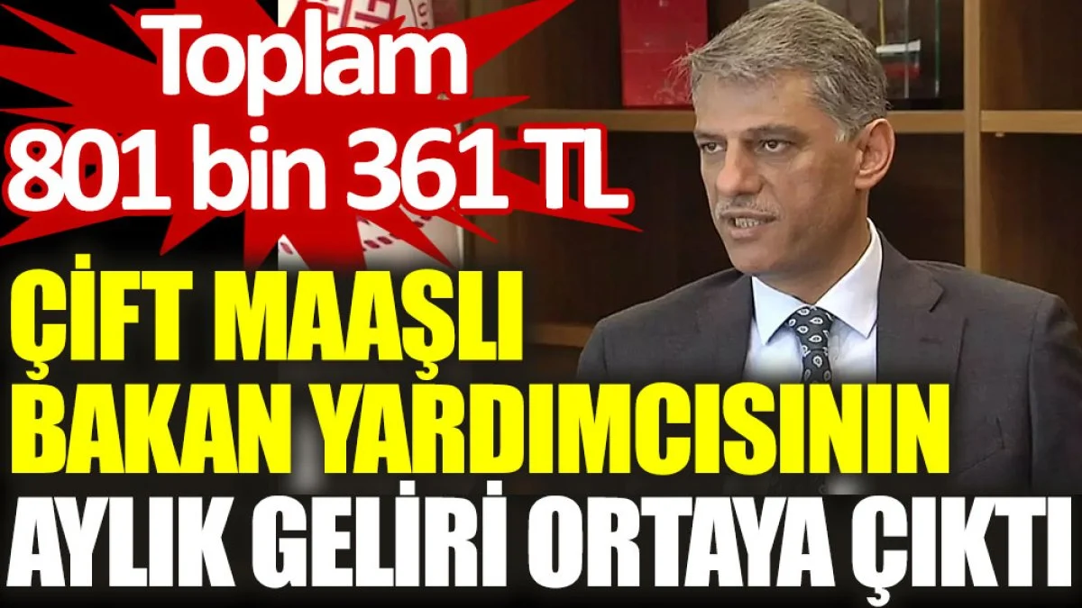 Çift maaşlı bakan yardımcısının aylık geliri ortaya çıktı: Toplam 801 bin 361 TL