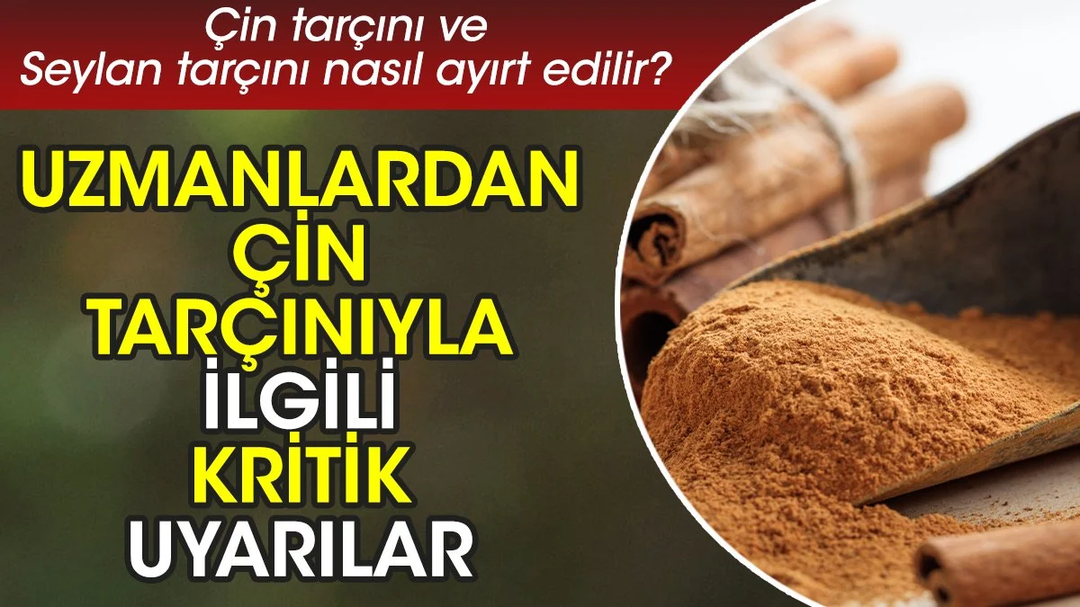Uzmanlardan Çin tarçınıyla ilgili kritik uyarılar. Çin tarçını ve Seylan tarçını nasıl ayırt edilir?