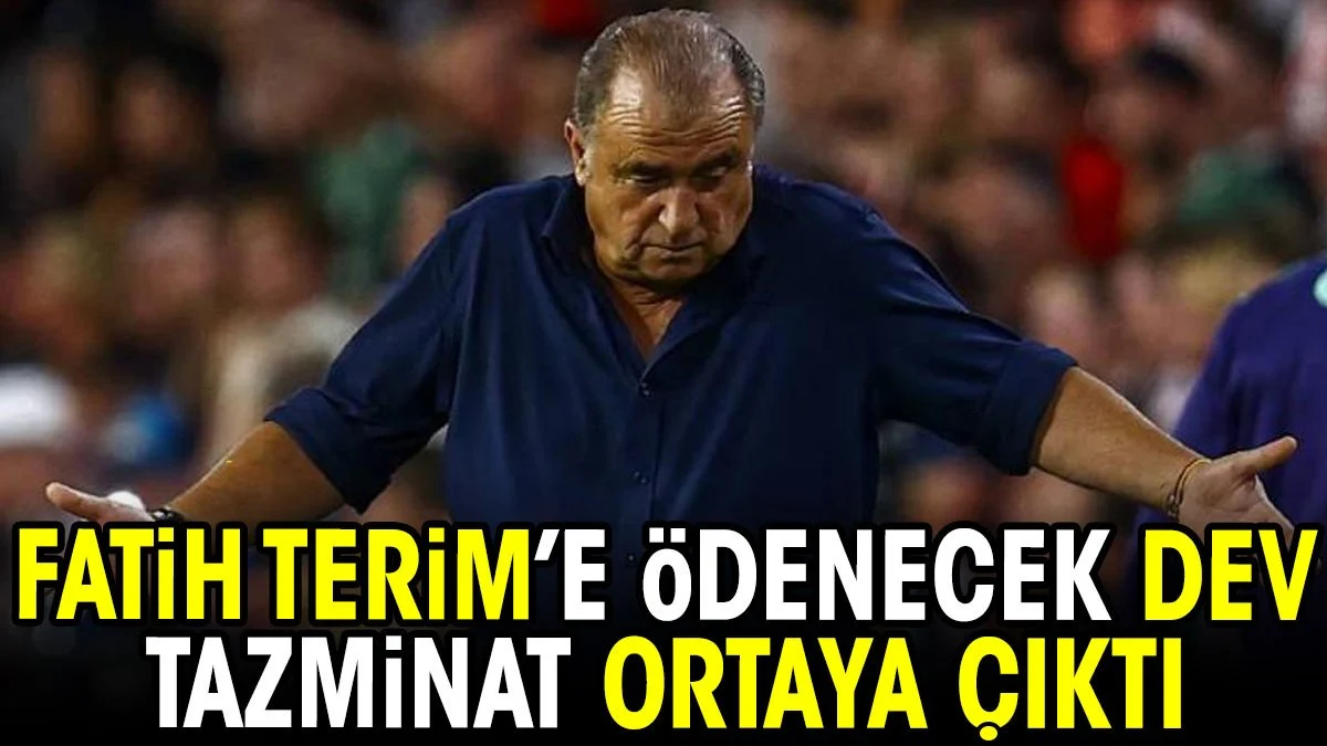 Fatih Terim'e ödenecek dev tazminat ortaya çıktı