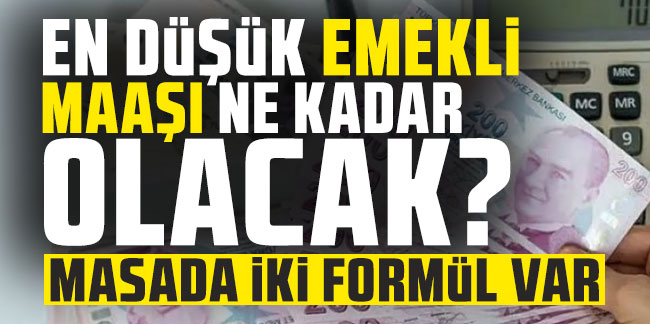 En düşük emekli maaşı ne kadar olacak? Masada iki formül var