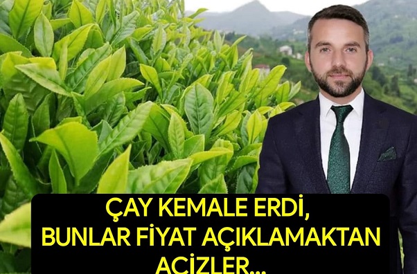 Çay Kemale Erdi Onlar Fiyat Açıklamaktan Acizler
