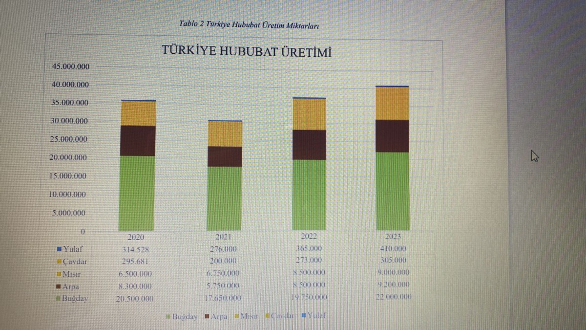 Türkiye'nin Beyaz Et Üretimi ve İhracatındaki Güçlü Artış: Ecevit Keleş'ten Detaylı Analiz