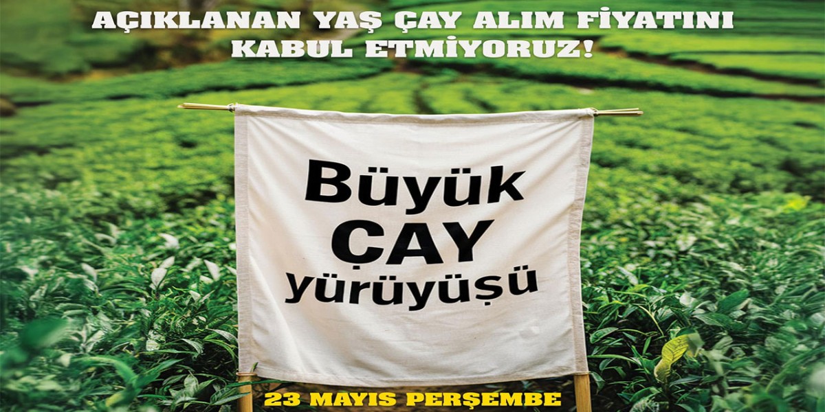 Rize'de Çay Mitingi Düzenlenecek