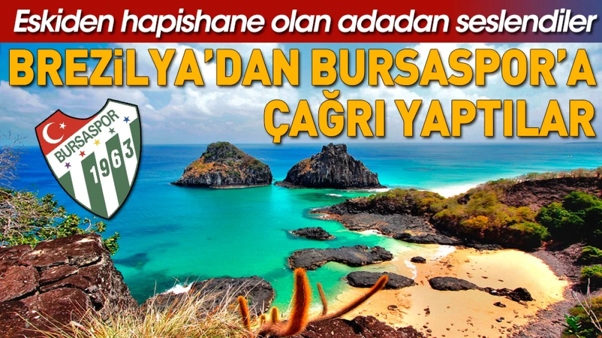 Bursaspor için Brezilya'dan çağrı yaptılar