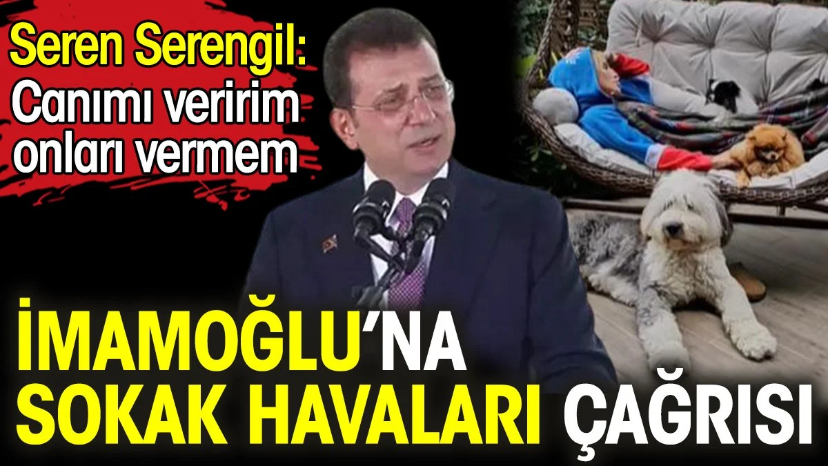 Seren Serengil'den İmamoğlu’na sokak havaları çağrısı
