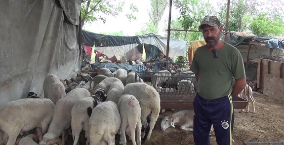 Aydınlı üretici: 