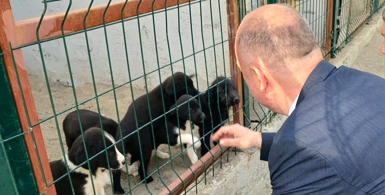 HOPA BELEDİYESİ SOKAK HAYVANLARININ KISIRLAŞTIRILMASINA BAŞLIYOR