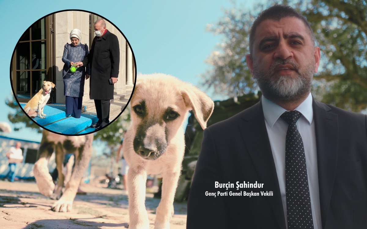 Genç Parti’den sert çıkış: Ülkede başıboş köpek değil, krizi bilinçli büyüten iktidar sorunu var!