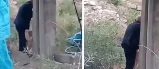 Kuru ekmek vererek kendisine alıştırdığı köpeğe tecavüz etti! Olay nerede oldu?