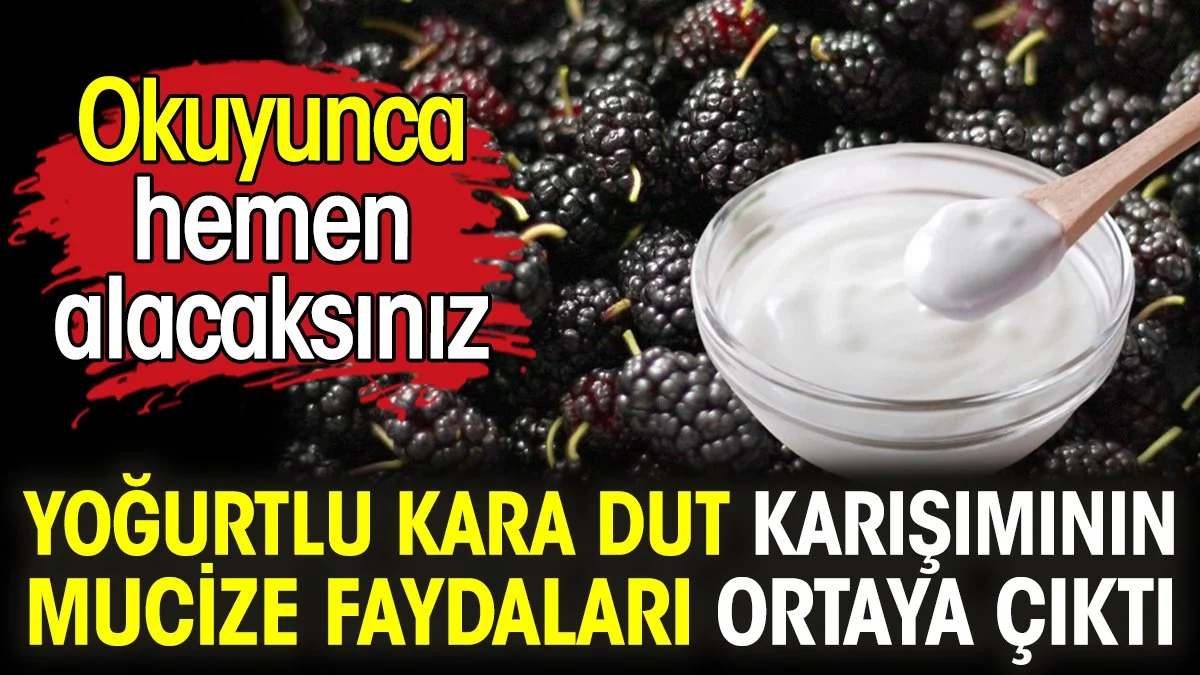 Yoğurtlu kara dut karışımının mucize faydaları ortaya çıktı. Okuyunca hemen alacaksınız