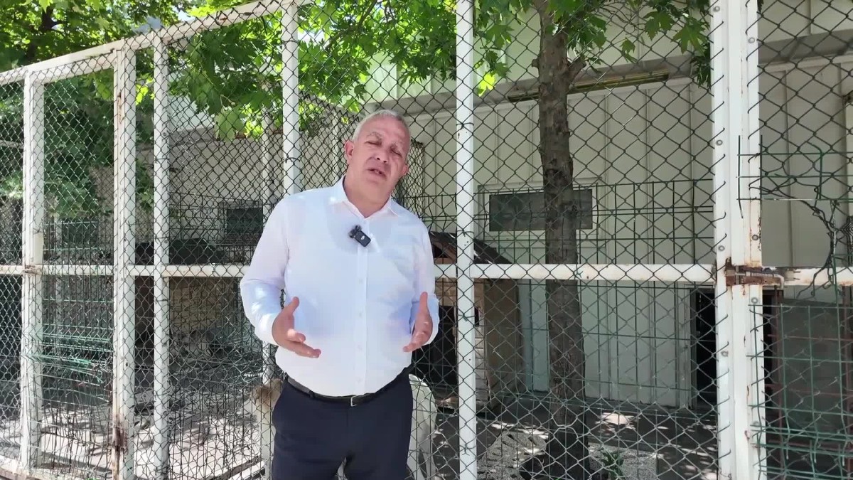 Artvin Belediye Başkanı Erdem, hayvan bakım merkezini ziyaret etti: 