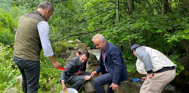 İkizdere’de Milli Parklardan Alabalık Yavrusu Bırakıldı