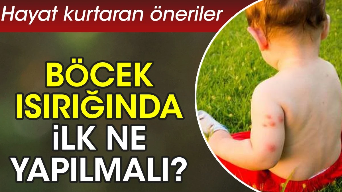 Böcek ısırığında ilk ne yapılmalı? Hayat kurtaran öneriler