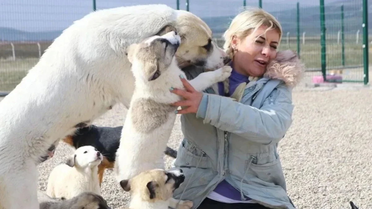 Buket Özgünlü (köpek velisi) neden tutuklandı, kuduz köpek olayı nedir?