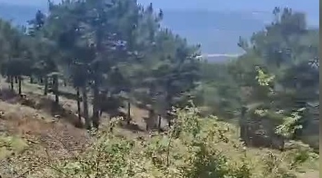 CHP’li Orhan Sarıbal Bursa'da siyanürle altın aranmasına tepki gösterdi: 