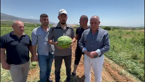 Manisalı karpuz üreticisi: 