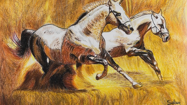 SELVA ÖZKİRİŞÇİ SANKO SANAT GALERİSİ’NDE RESİM SERGİSİ AÇACAK