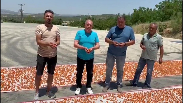 Manisalı Kayısı Üreticileri, Kurutma Yöntemiyle Yeni Umutlar Yeşertiyor