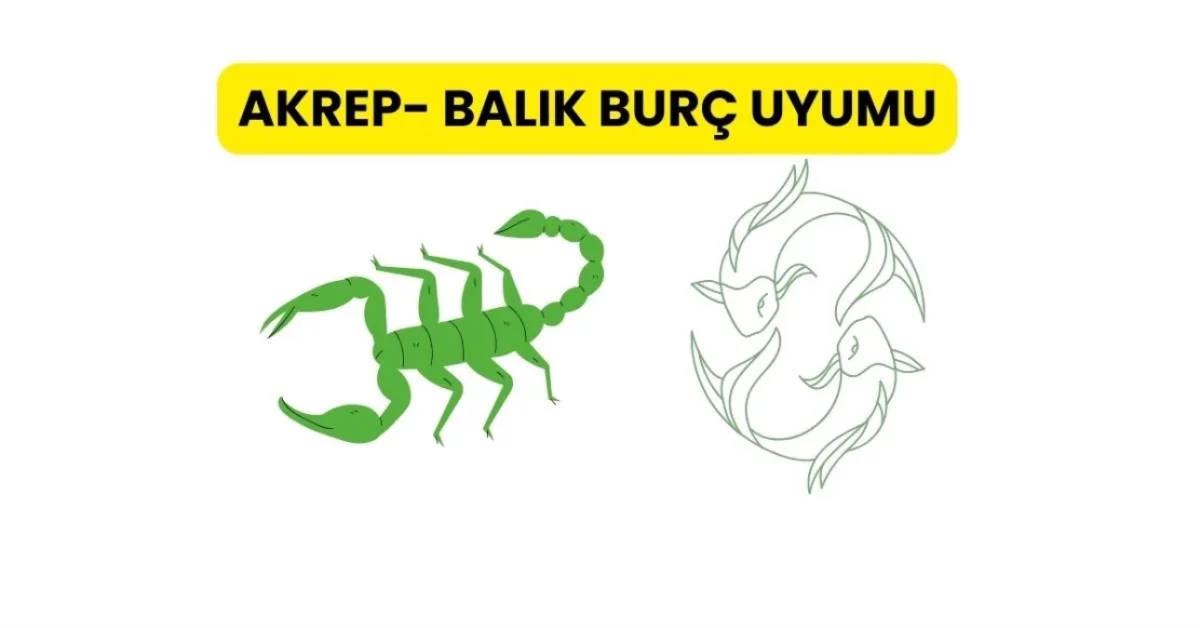Akrep- Balık Burç uyumu | Akrep ve Balık burcu uyumlu mu? Balık kadını Akrep erkeği aşk uyumu nedir?