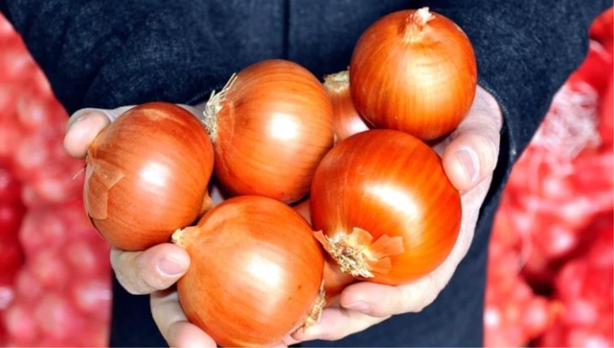 MasterChef Soğan çorbası tarifi! En güzel soğan Çorbası tarifi! Soğan Çorbası tarifi nasıl yapılır? 