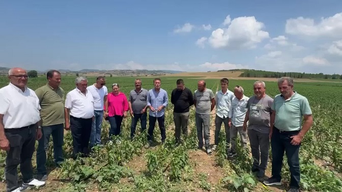 CHP’li Sarıbal dolunun vurduğu tarım alanlarını ziyaret etti: Zorunlu tarım sigortası devreye sokulmalı