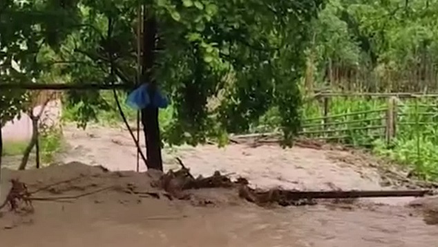 Artvin'in Tosunlu köyünde ekili tarım arazileri aşırı yağıştan zarar gördü..