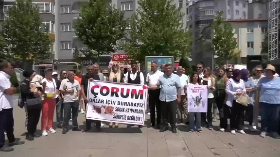 Çorum'da hayvanseverler, sokak hayvanlarıyla ilgili kanun teklifini protesto etti: