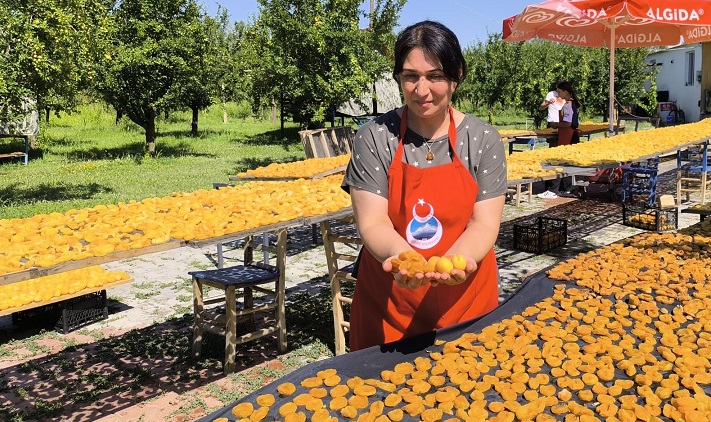 Iğdır'da kadın kooperatifi, kayısıları kurutarak ekonomiye kazandırıyor