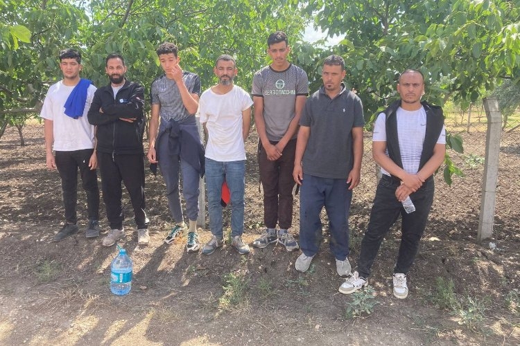 Edirne'de 7 göçmen yakalandı