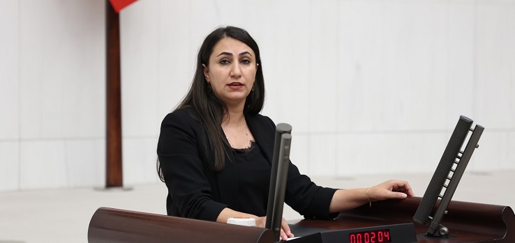 Meclis’te ‘Barış’ın İngilizcesi Serbest, Kürtçesi Yasak!