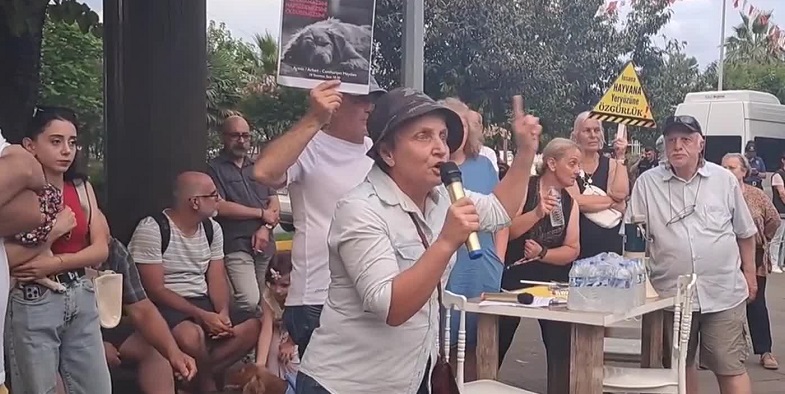Allah’ın yarattığı canı ne zaman ve nasıl öldüreceğinize karar vermek için günlerdir ne yapıyorsunuz orada, utanmıyor musunuz?