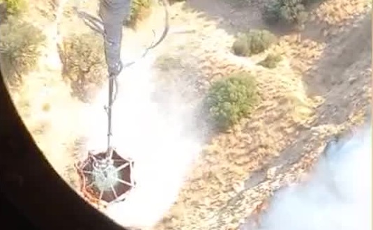 Aydın’da zeytinlik alanda yangın çıktı