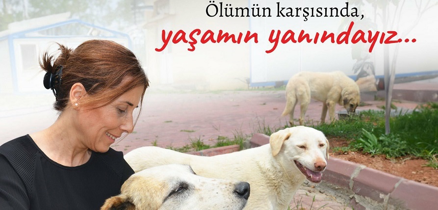 Adana Seyhan Belediye Başkanı Tekin: “Ölümden çözüm olmaz”