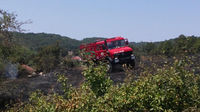 Bilecik’te arazi yangını! 1 kişi dumandan etkilenip hastaneye kaldırıldı
