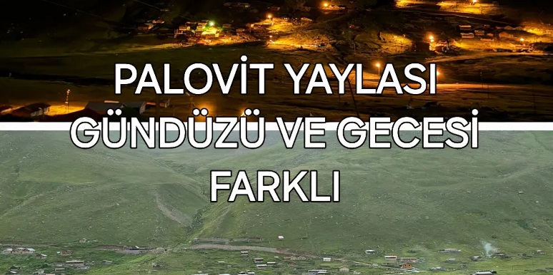 Gecesi gündüzü farklı yayla PALOVİT