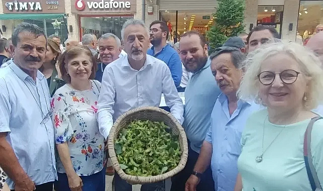 CHP'Lİ ADIGÜZEL: FINDIKTA SOYGUN DÜZENİ VAR