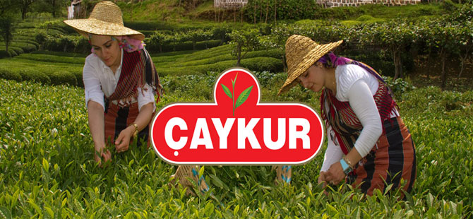 ÇAYKUR Yaş Çay Alımında Rekor Kırdı, Normalleşme Başlıyor!