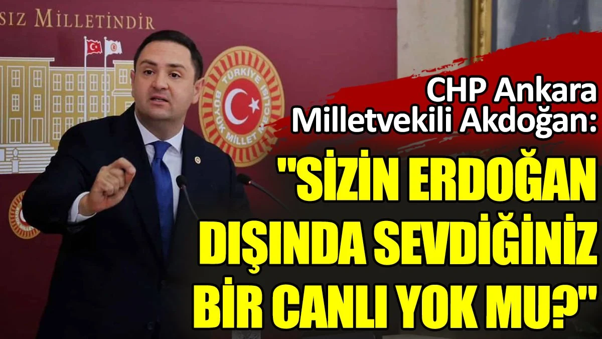 CHP Ankara Milletvekili Akdoğan: 