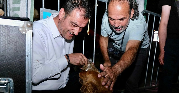 Köse: “Sahipsiz hayvanların uyutulmasına yönelik çağ dışı yasanın uygulanması vicdanen mümkün değildir”