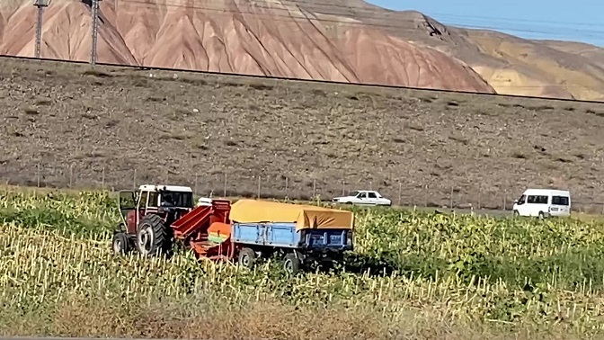Yozgat’ta ayçiçeği hasadına başlayan çiftçi, alım fiyatının açıklanmasını bekliyor