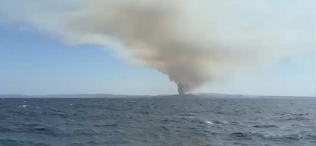 Çanakkale Büyükanafarta köyü yakınında orman yangını