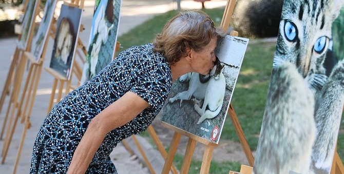 Menteşe Belediyesi'nin sokak hayvanlarına dikkat çeken 'Can Dostlar Farkındalık Sergisi' açıldı
