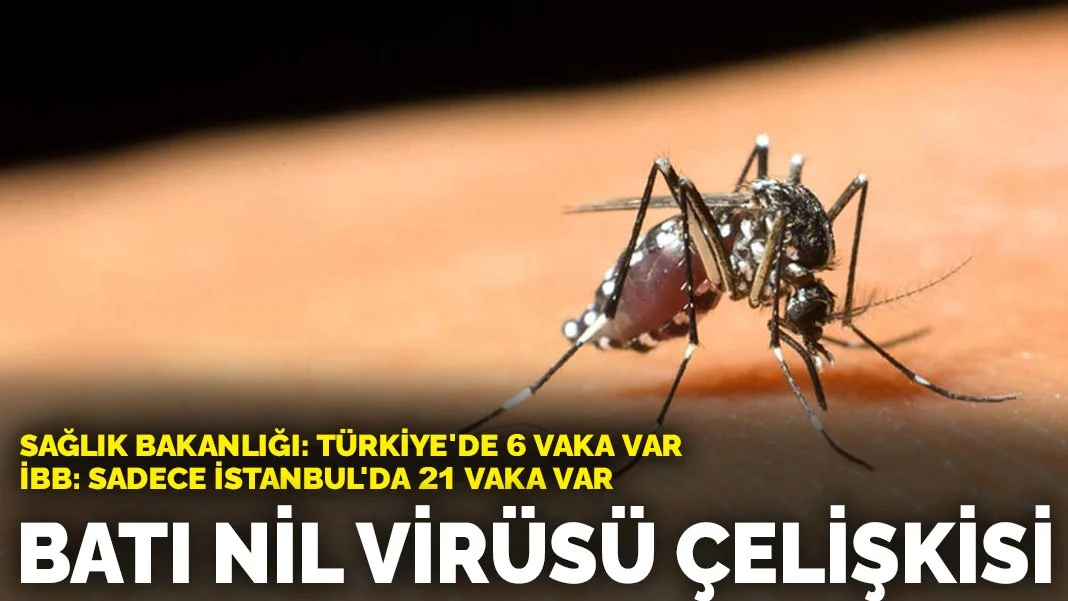 Sağlık Bakanlığı ve İBB verilerinde Batı Nil Virüsü çelişkisi