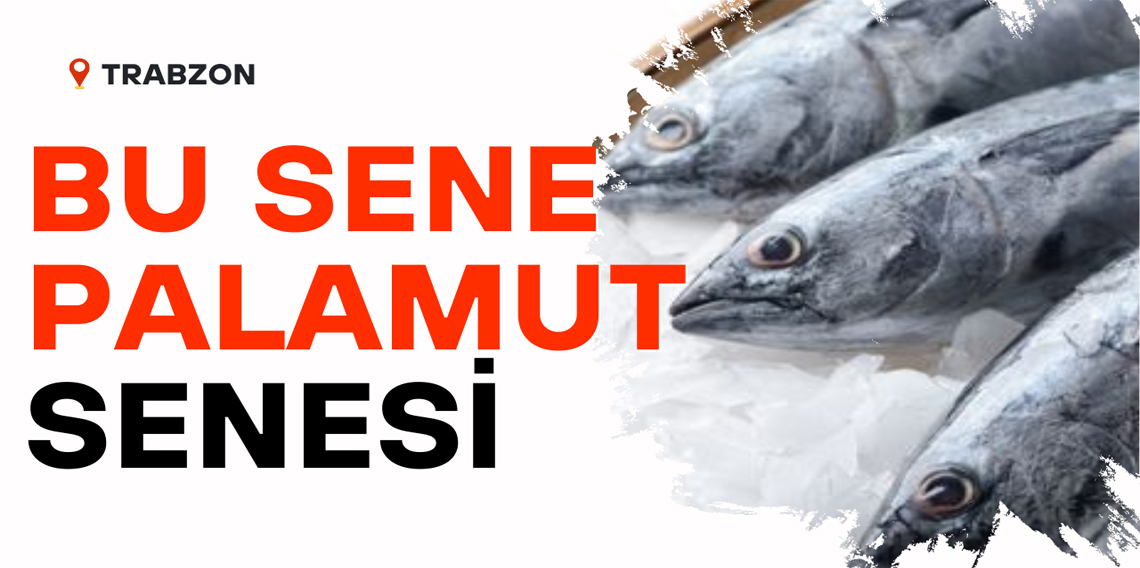 Bu Sene Palamut Senesi