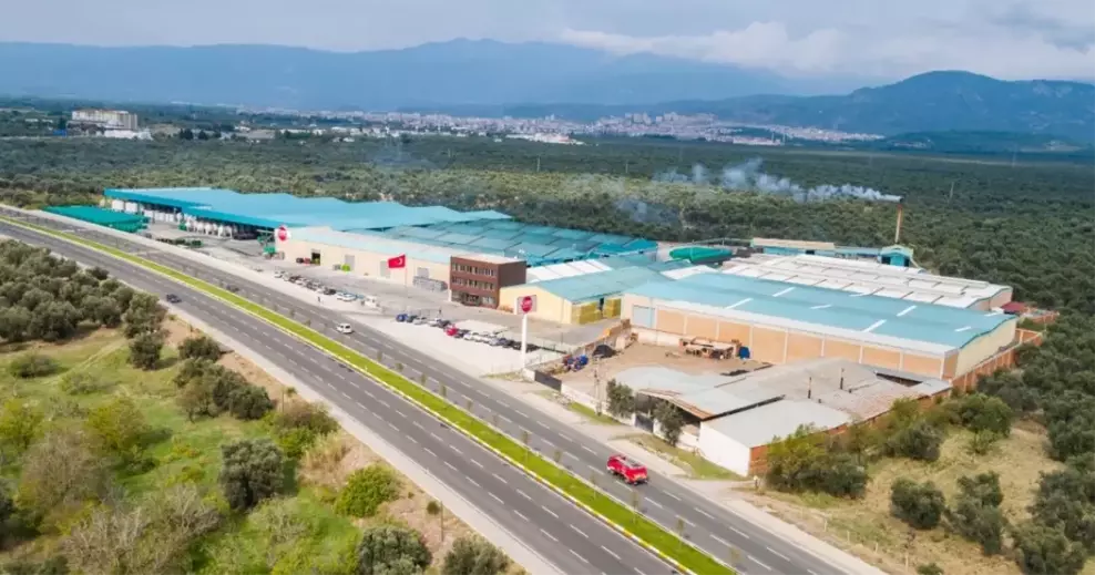 CEM ZEYTİN HALKA ARZ Cem Zeytin kaç lot verir?