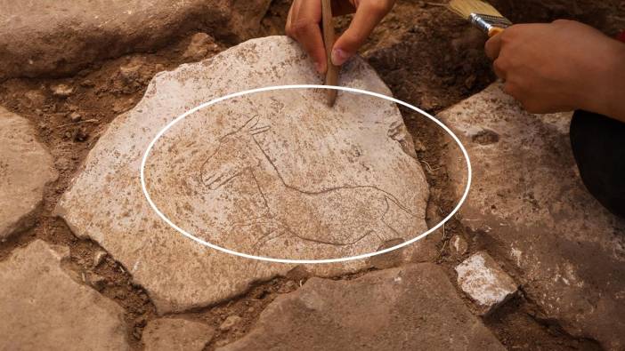 Şanlıurfa'da Heyecanlandıran Keşif! Neolitik Çağ'a Işık Tutan Yaban Eşeği Figürü Bulundu