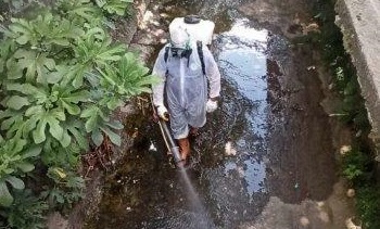 Karadeniz Ereğli Belediyesi, ilaçlama çalışmalarını sürdürüyor