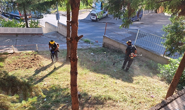 AKÇAABAT BELEDİYESİ'NDEN OKULLARA DESTEK