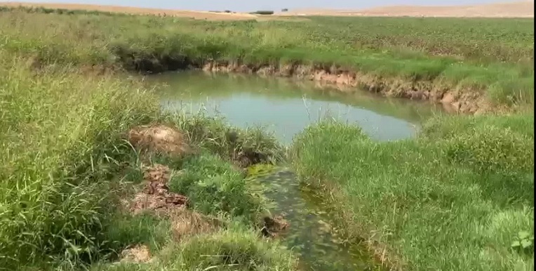 Harran Ovası'nda oluşan obruklar çiftçiyi tedirgin ediyor: 