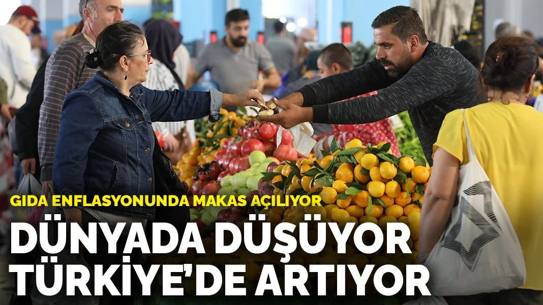 Gıda enflasyonunda makas açılıyor: Dünyada düşüyor Türkiye’de artıyor